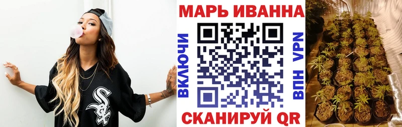 Бошки Шишки планчик как найти Суздаль